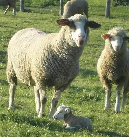 Domaine Les Bachats 3* Rhodes