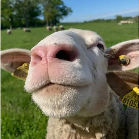 Domaine Les Bachats Couette-café 3*