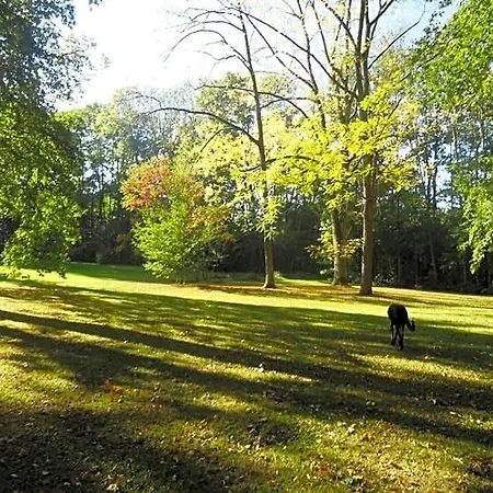 Domaine Les Bachats Panzió 3*