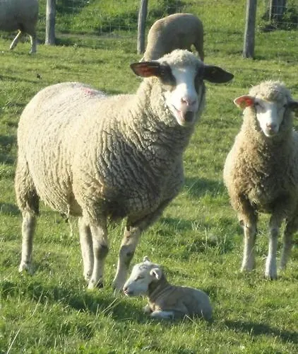 Domaine Les Bachats 3* Rhodes