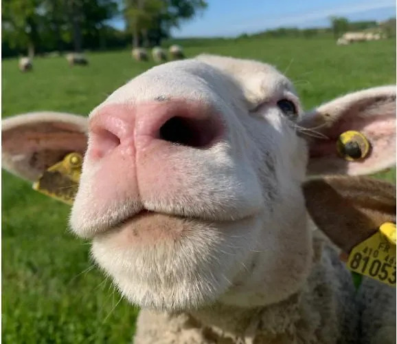 Domaine Les Bachats Отель типа 